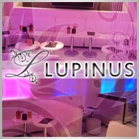 Lupinusの仕事イメージ