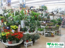 青葉区の花屋の求人 仙台市 接客 販売の求人情報 げんきワーク
